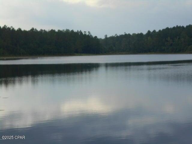 Picture 3