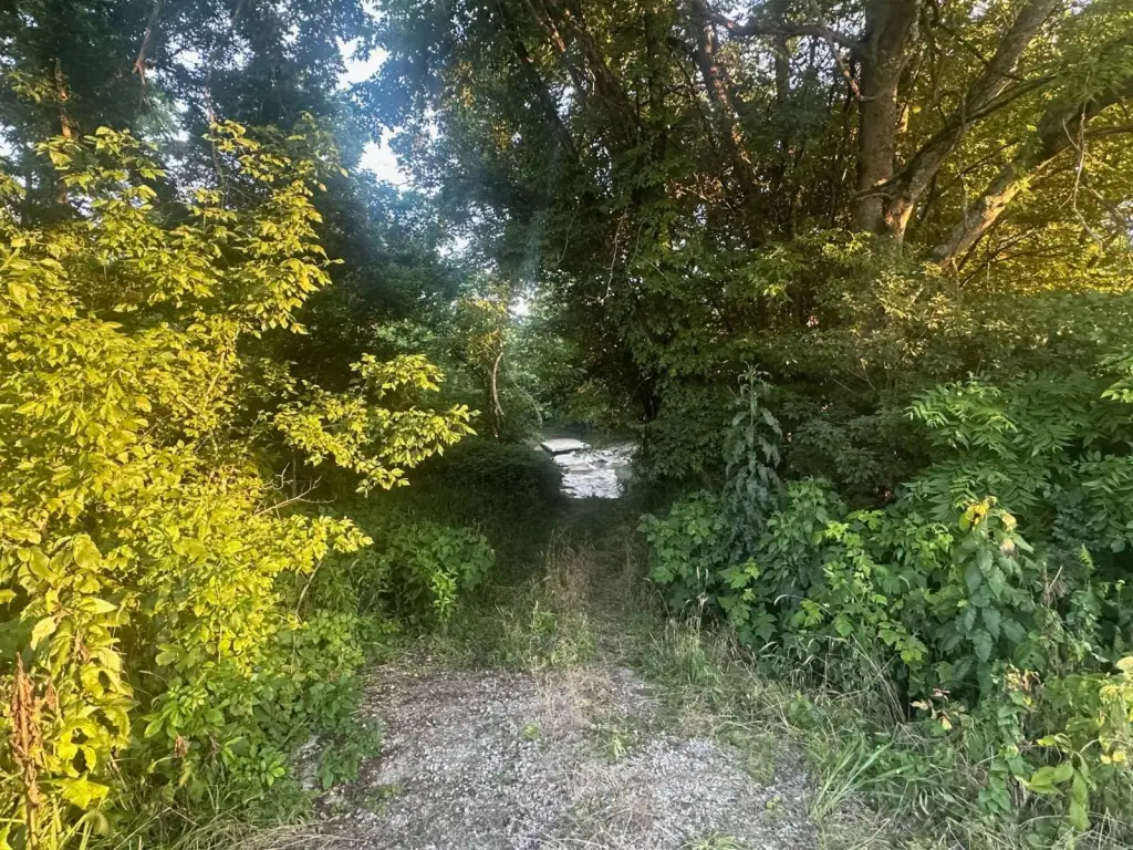 Picture 6