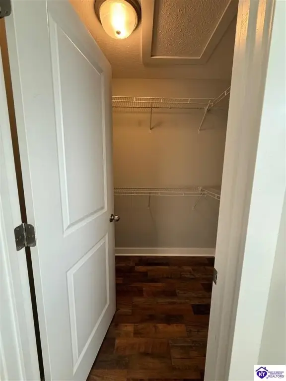 Picture 24