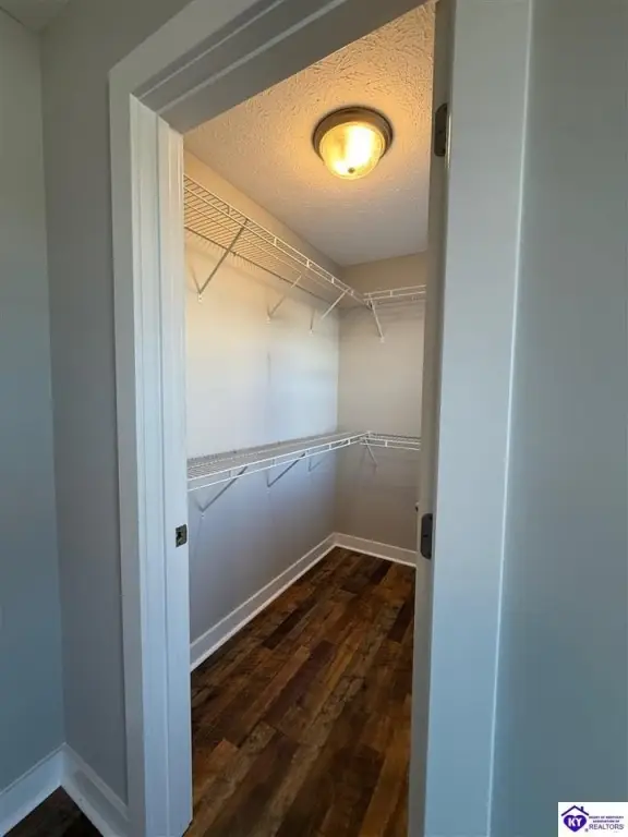 Picture 28