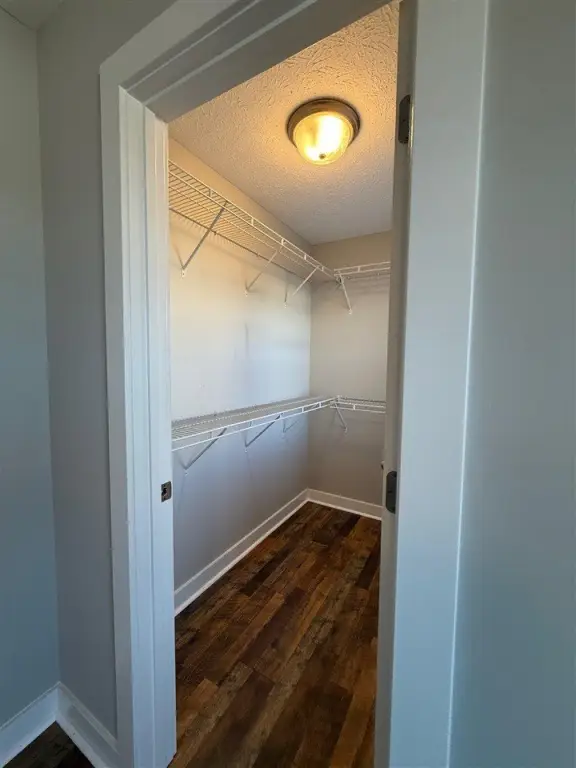 Picture 28
