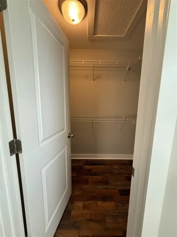 Picture 24