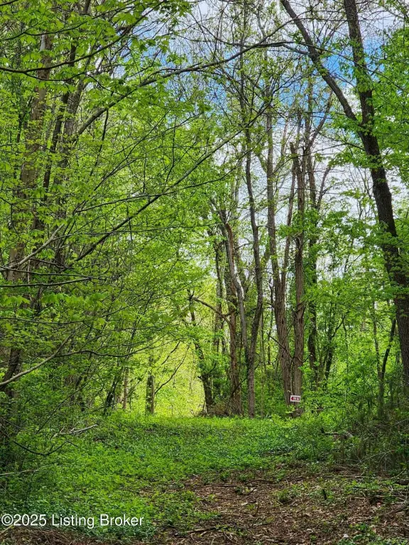Picture 11