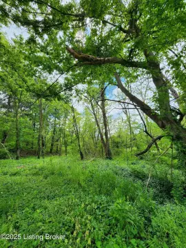 LAND - Rineyville, KY