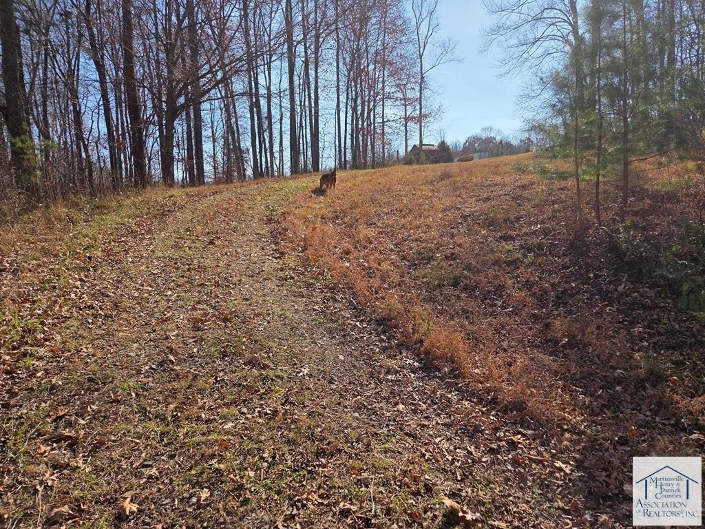 Picture 25