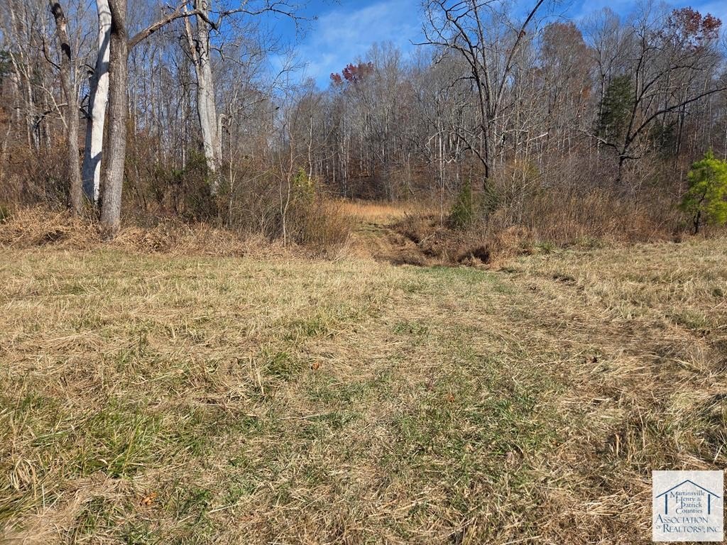 Picture 14