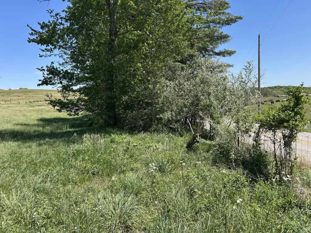 Picture 4