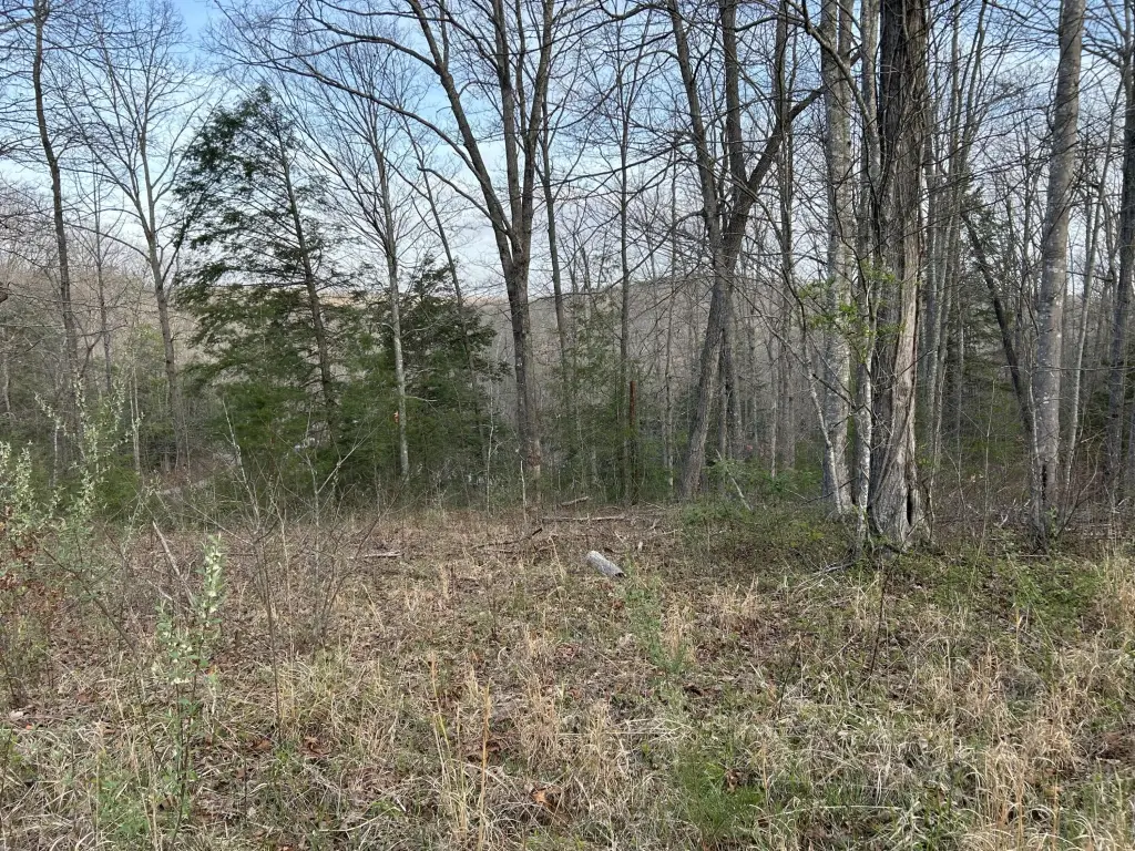 Picture 2