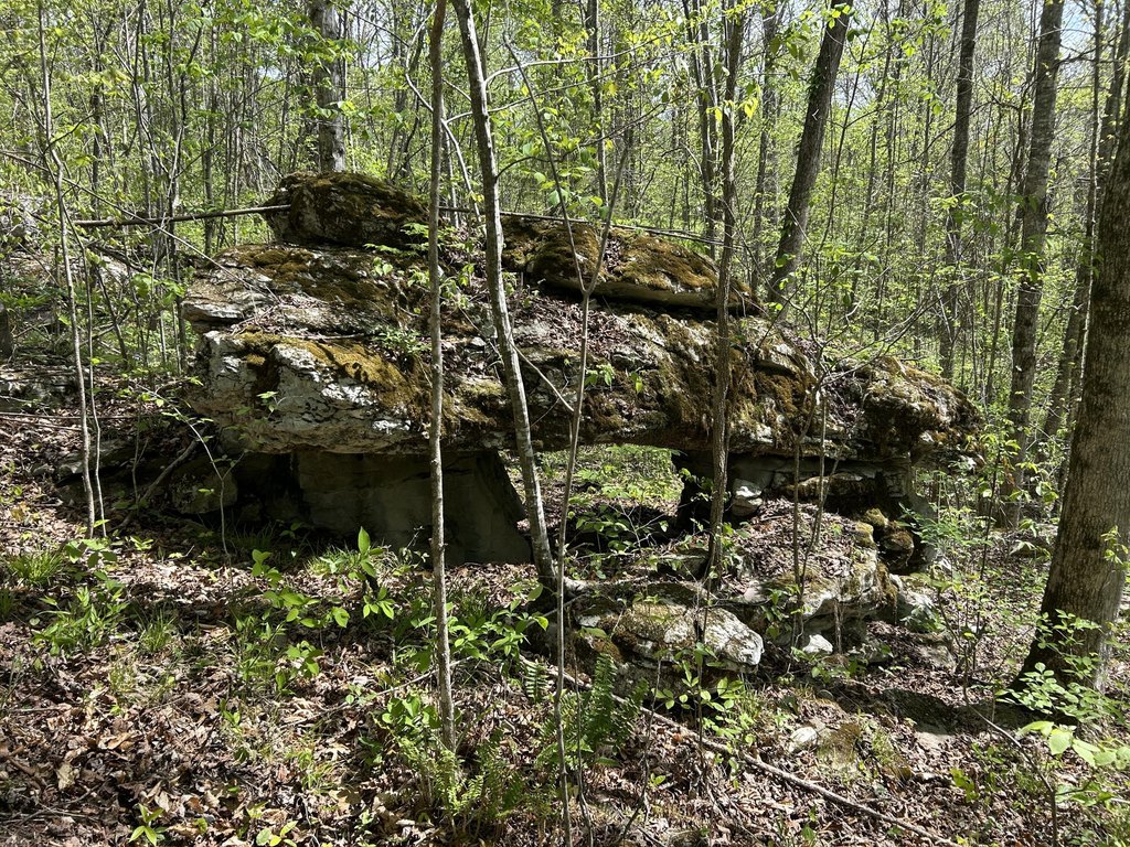 Picture 2