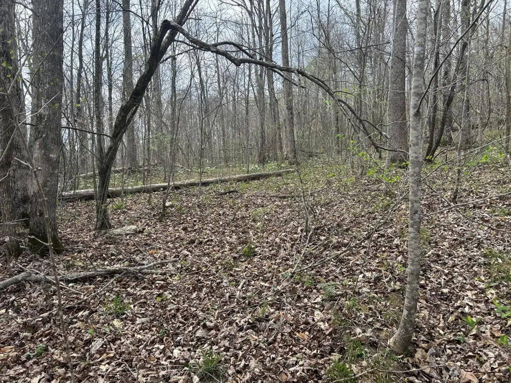 Picture 9