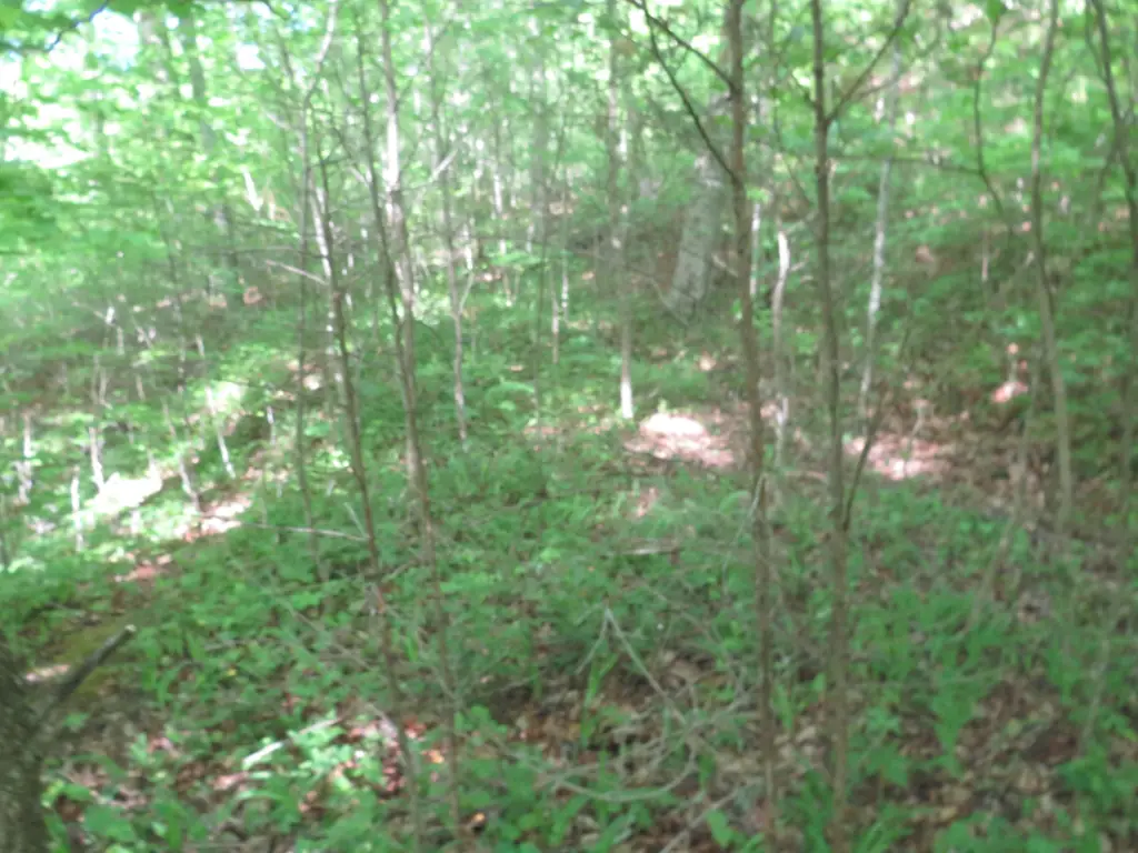 Picture 39