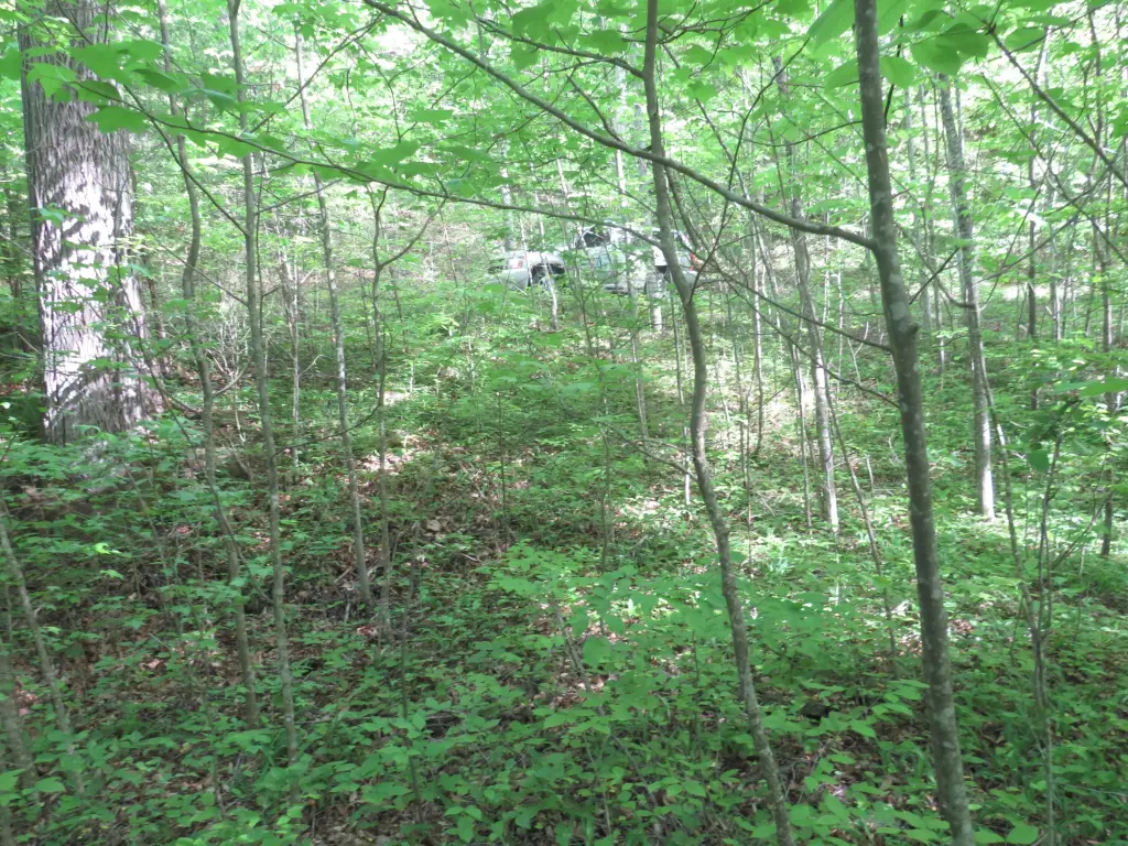 Picture 37