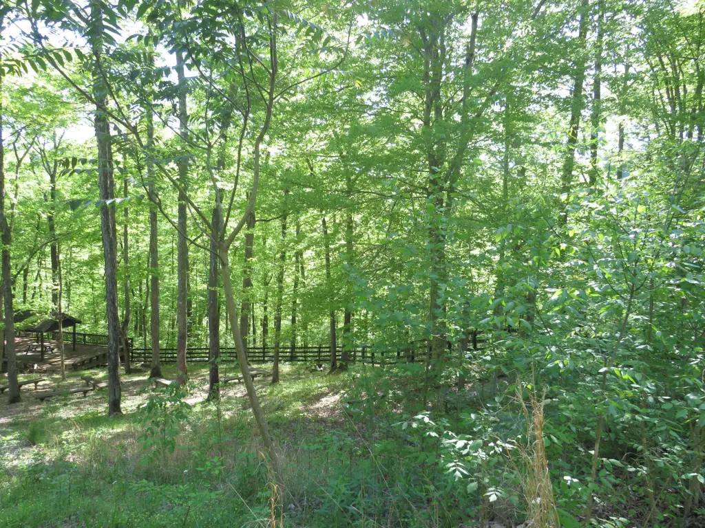 Picture 29