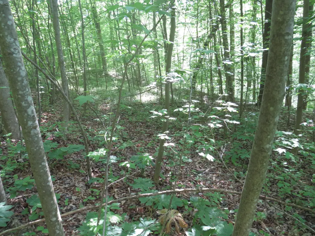 Picture 13