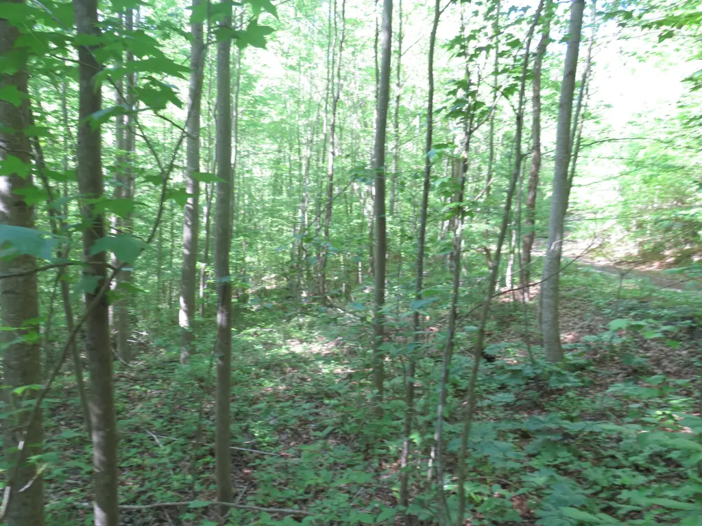 Picture 17