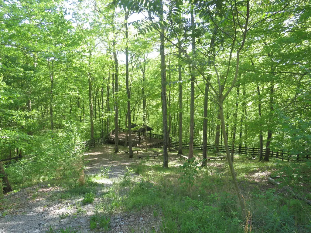 Picture 27