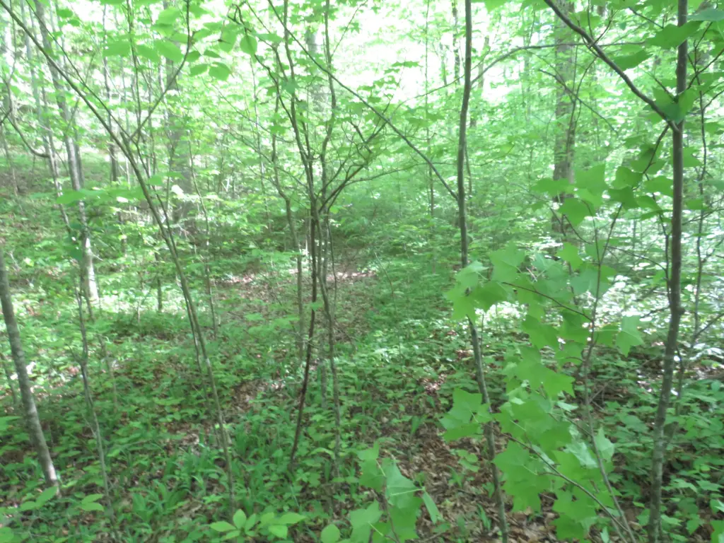 Picture 38