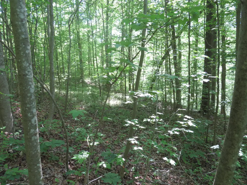 Picture 19