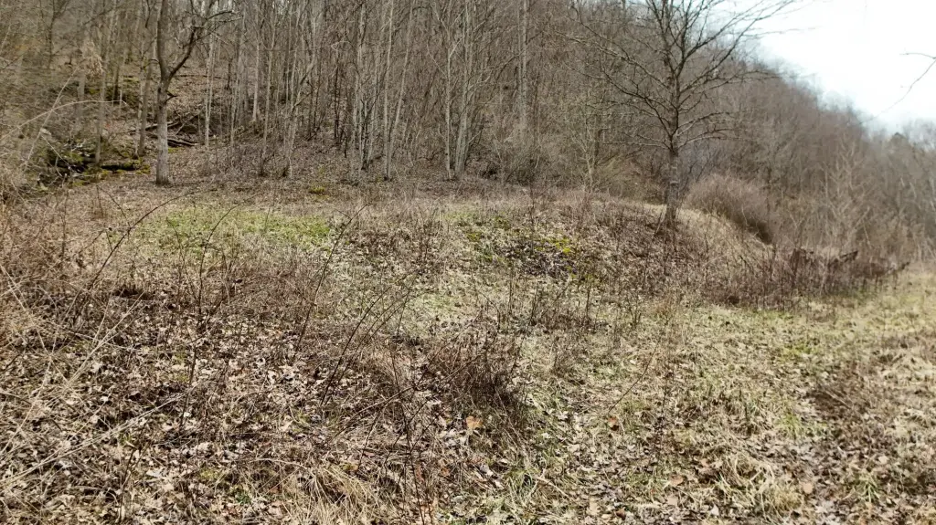 Picture 3