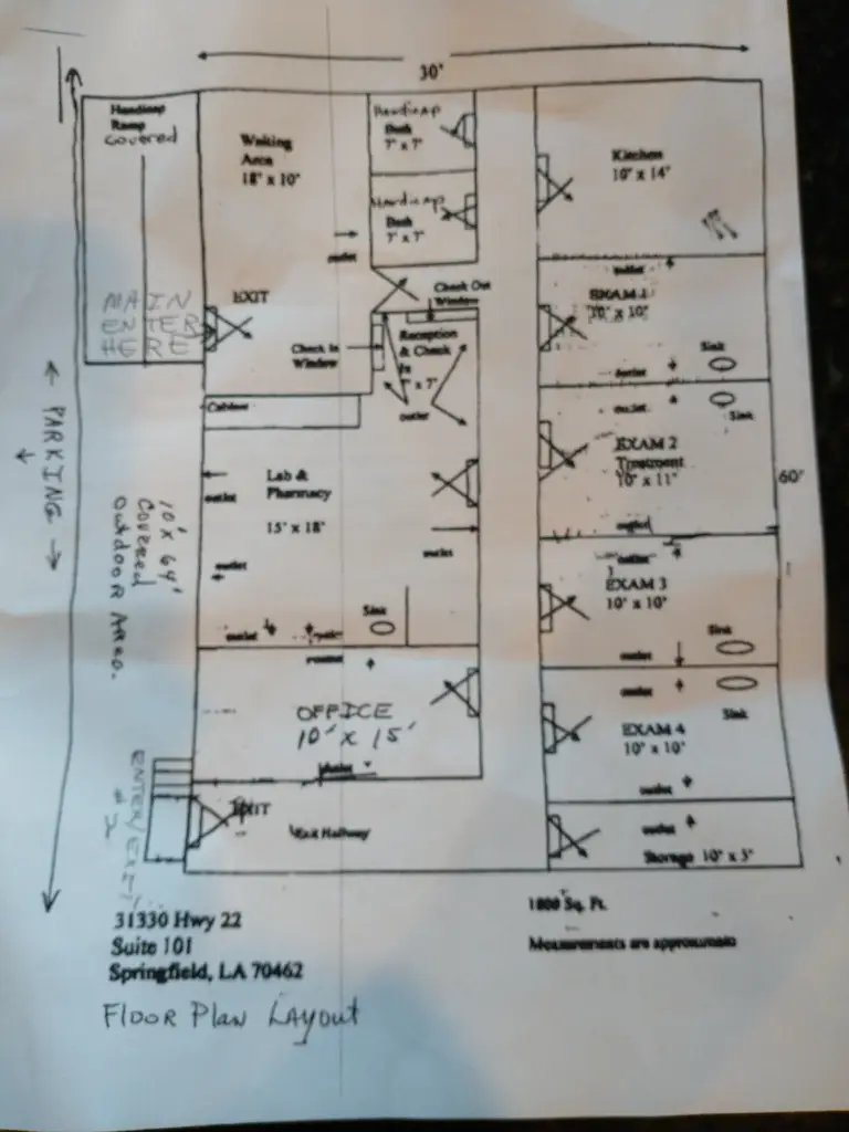 Picture 19