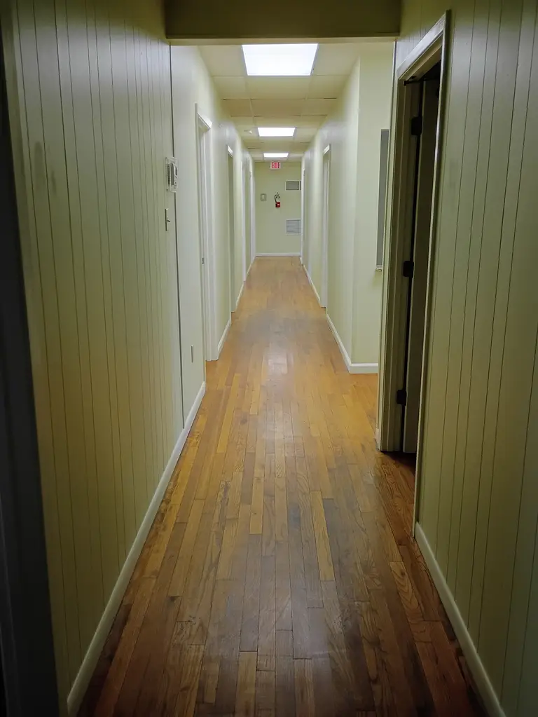 Picture 8