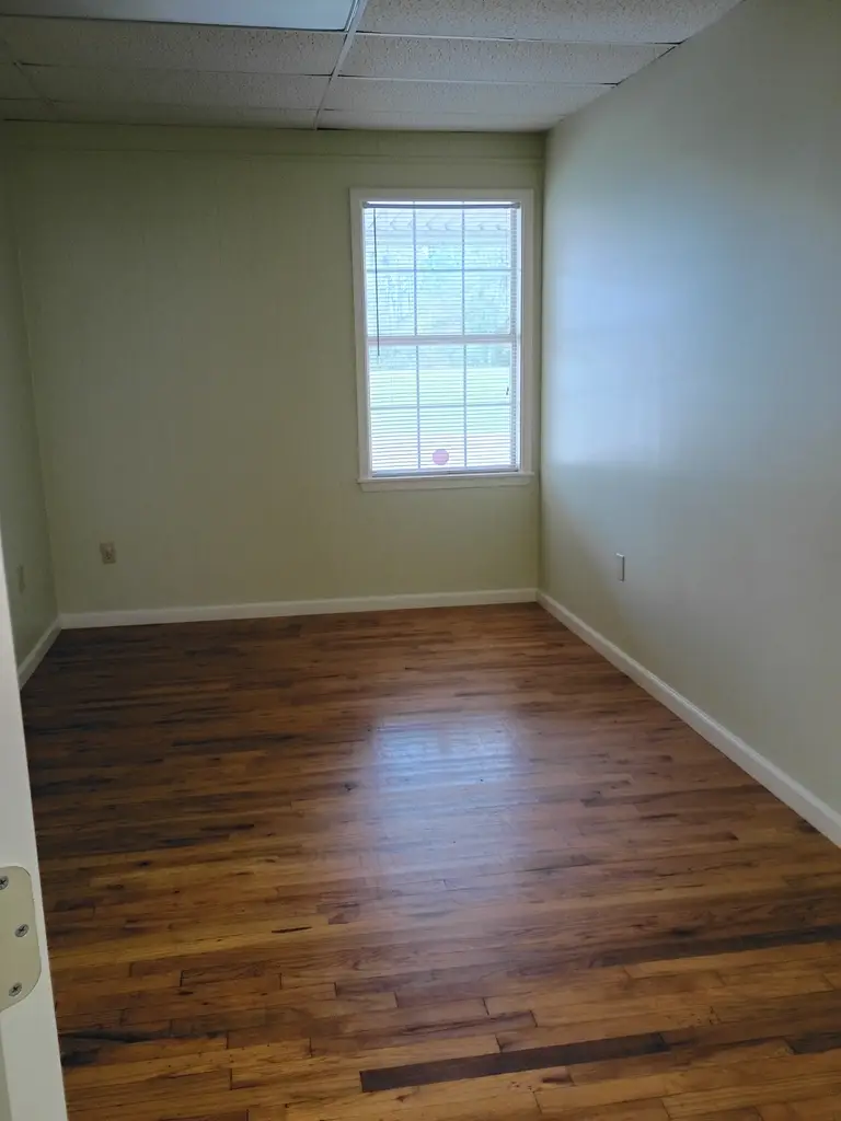Picture 12