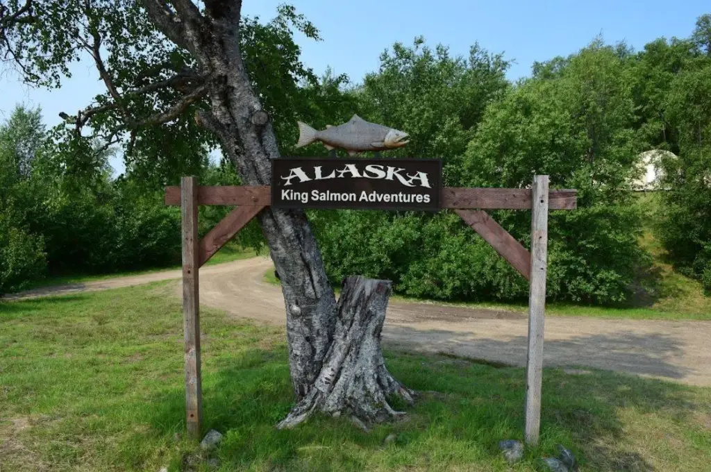 Picture 19