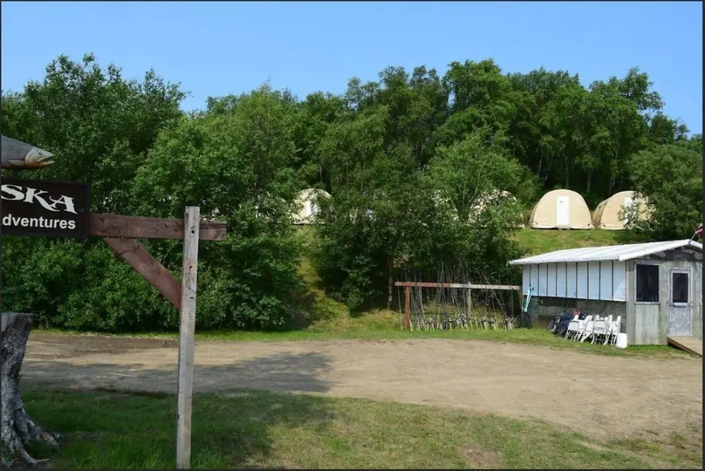 Picture 14