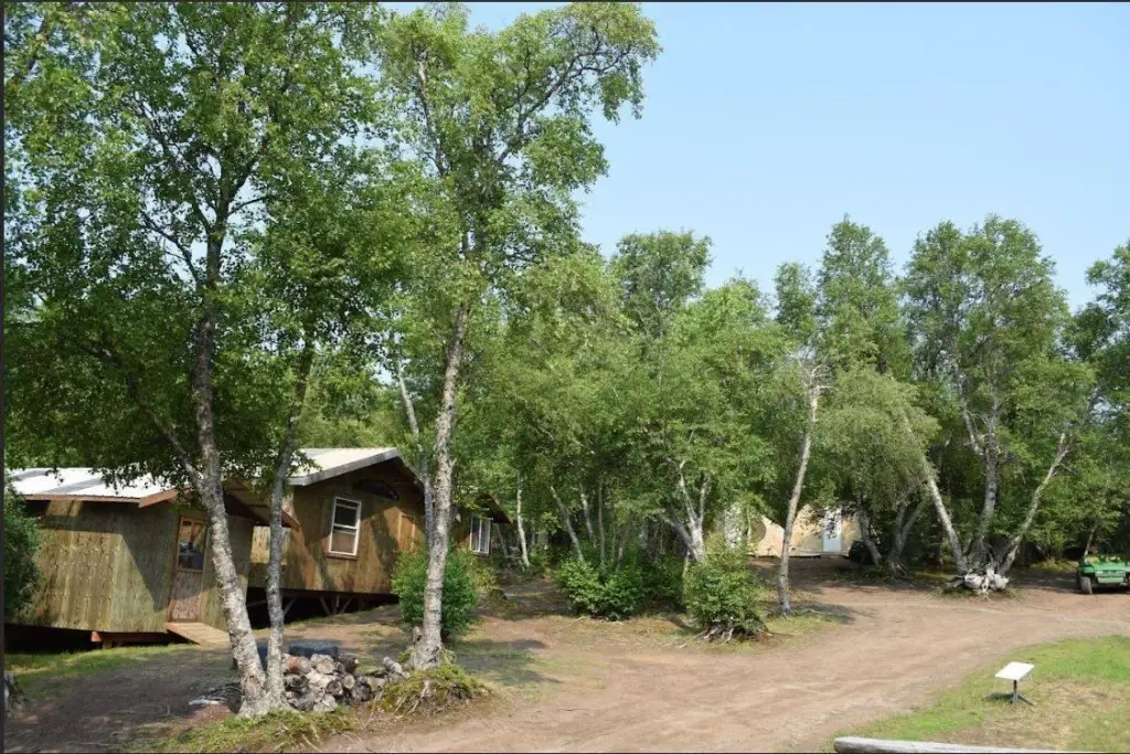 Picture 9