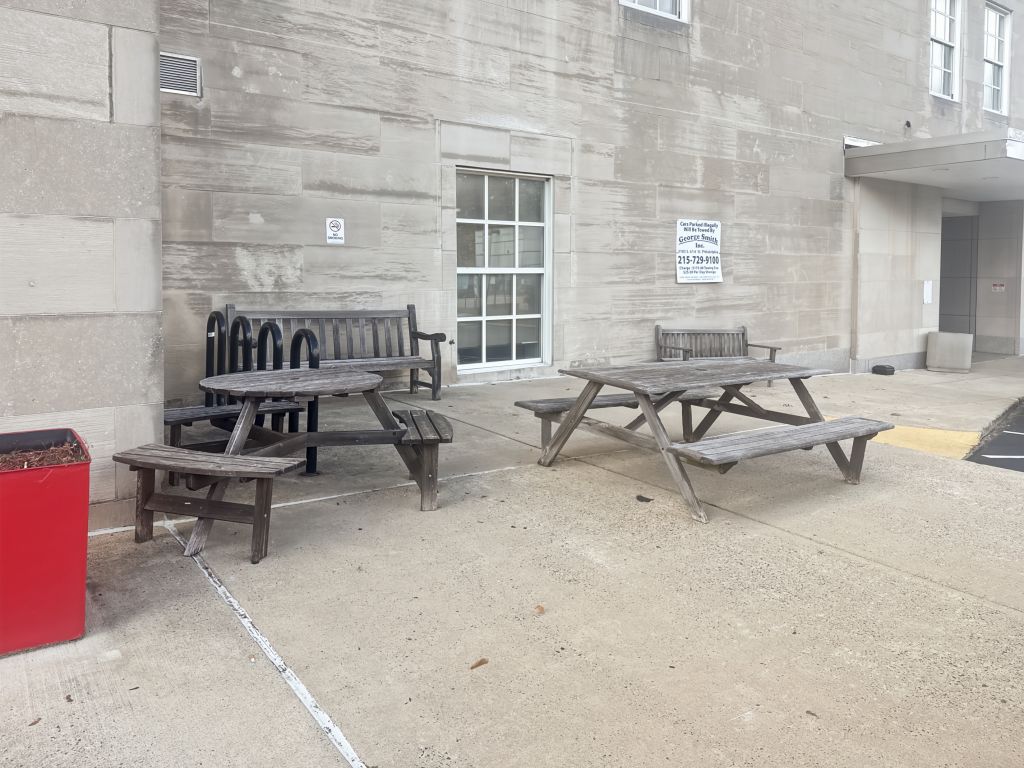 Picture 15