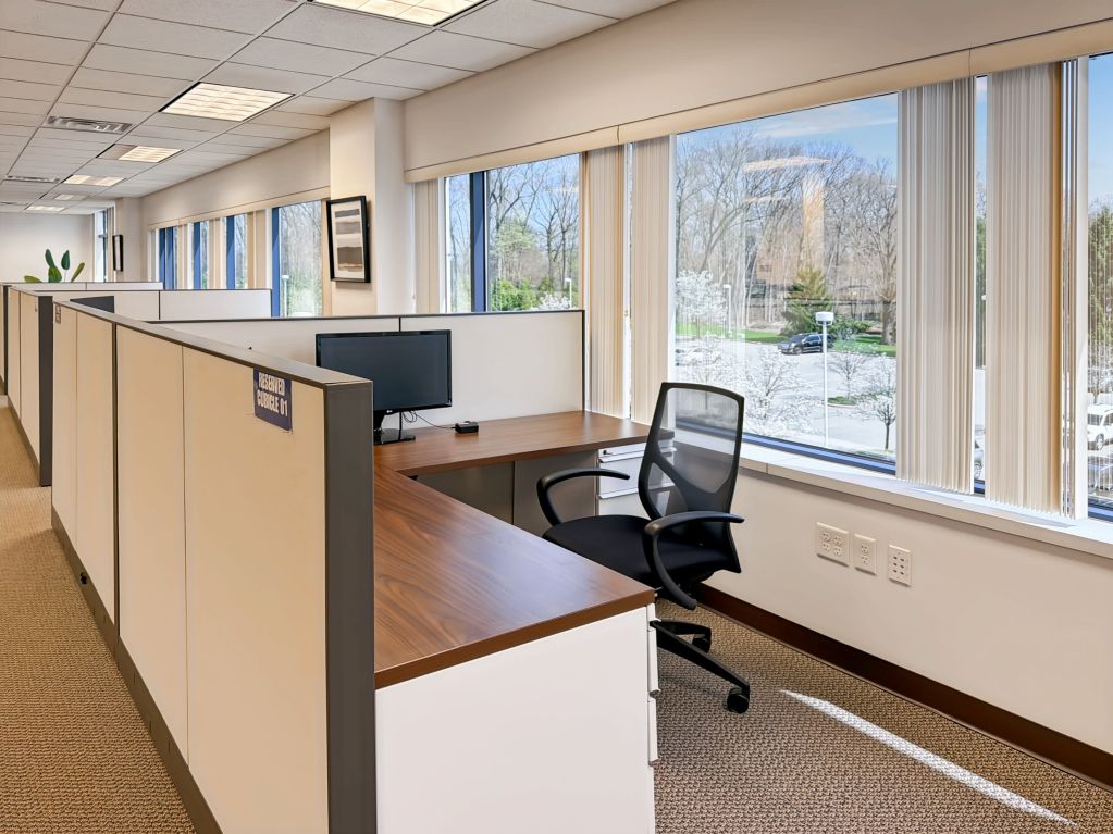 Picture 8