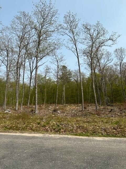 Picture 8