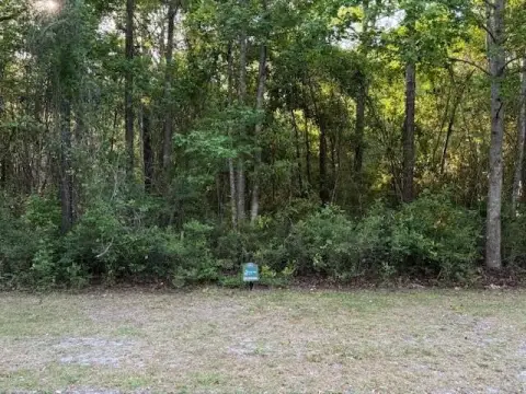 LAND - Woodbine, GA
