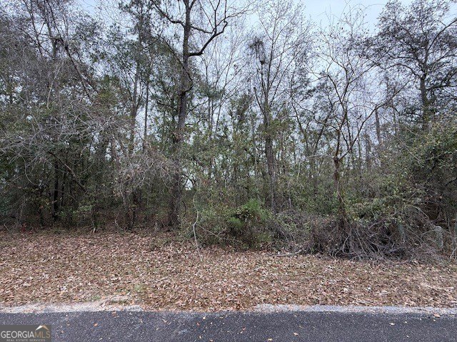 Picture 3