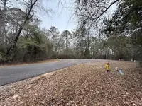 LAND - Woodbine, GA
