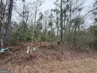 LAND - Woodbine, GA