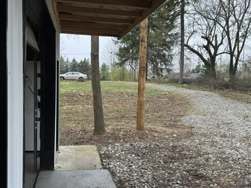 Picture 11