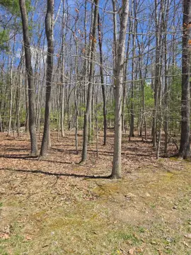 Vacant Land - Daniels, WV