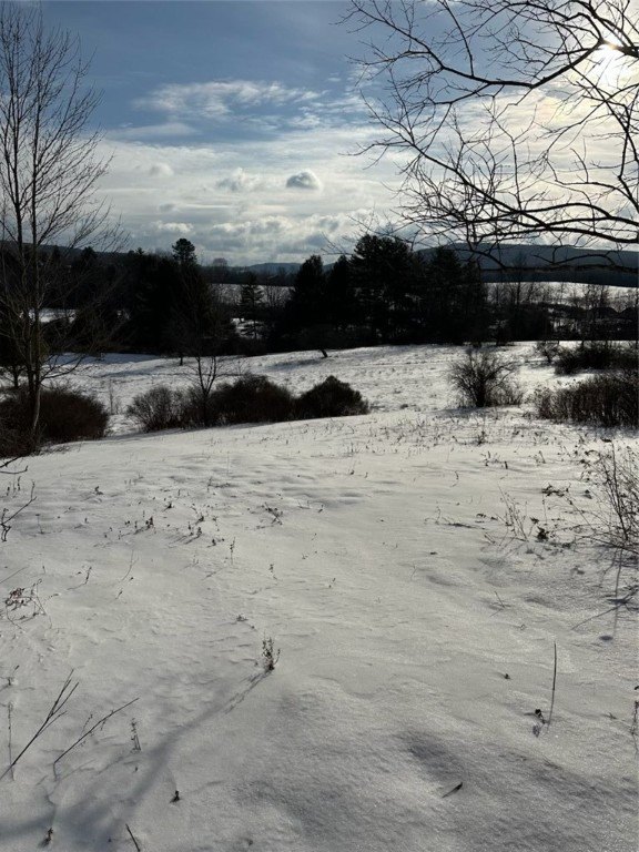 Picture 14