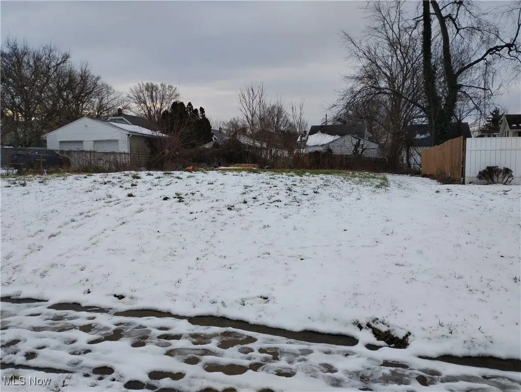 Picture 5