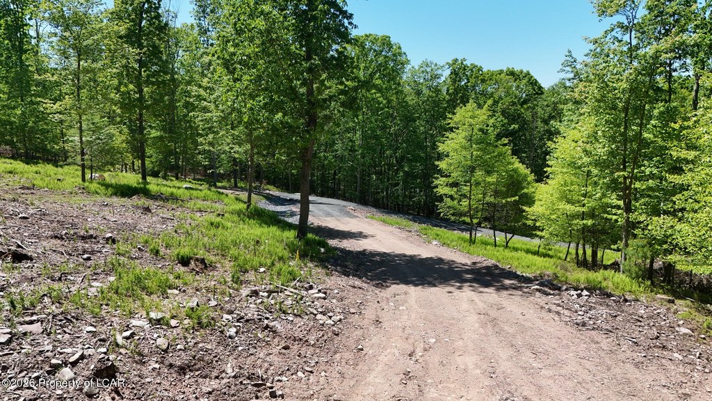 Picture 16