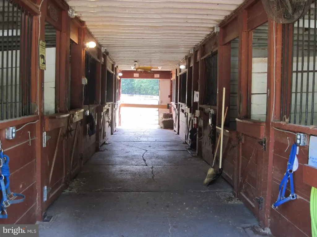 Picture 9