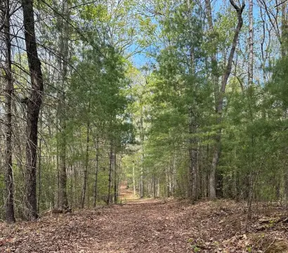 Vacant Lot - Ellijay, GA