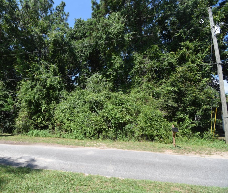 Picture 6