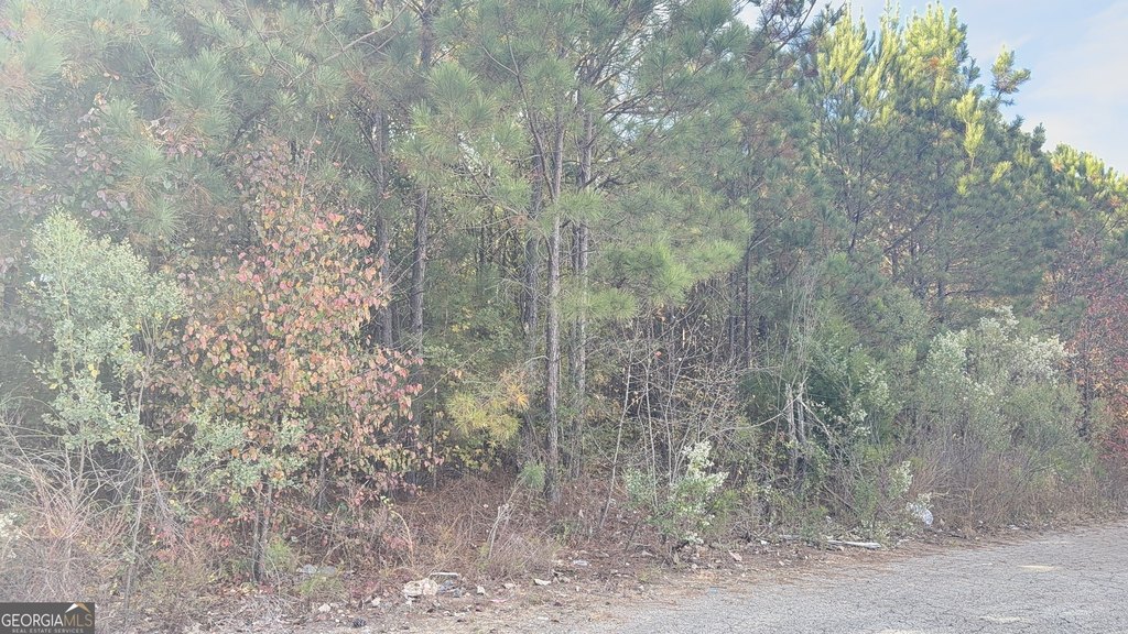 Picture 6
