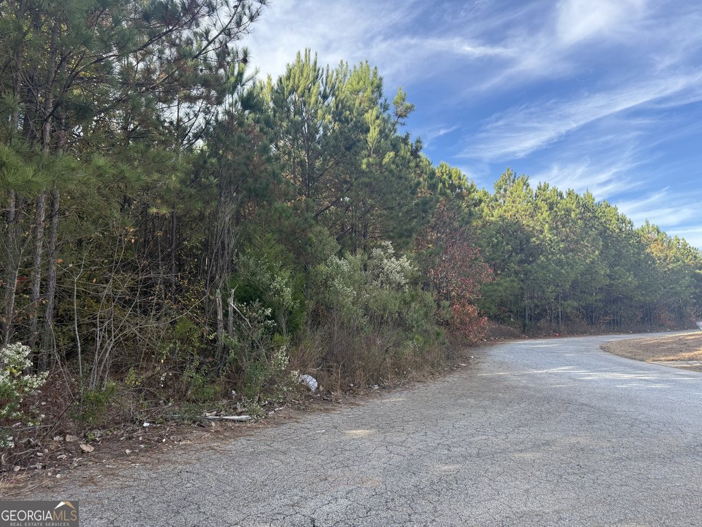 Picture 6