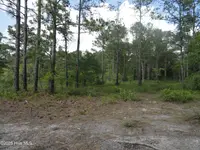 1 River Trail Lot 1, Burgaw, NC 28425