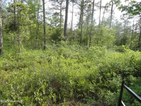 LAND - Burgaw, NC