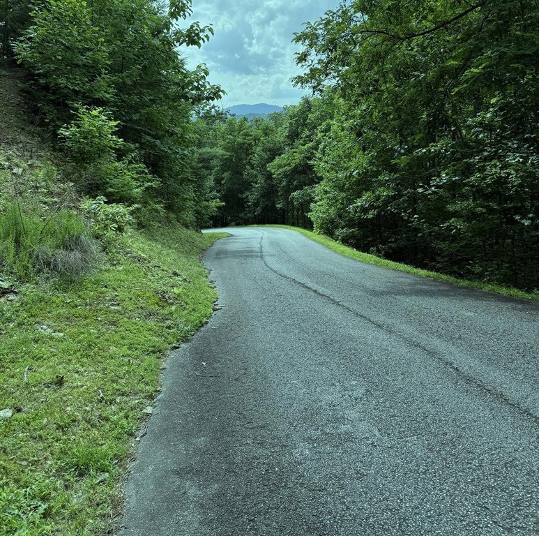 Picture 24