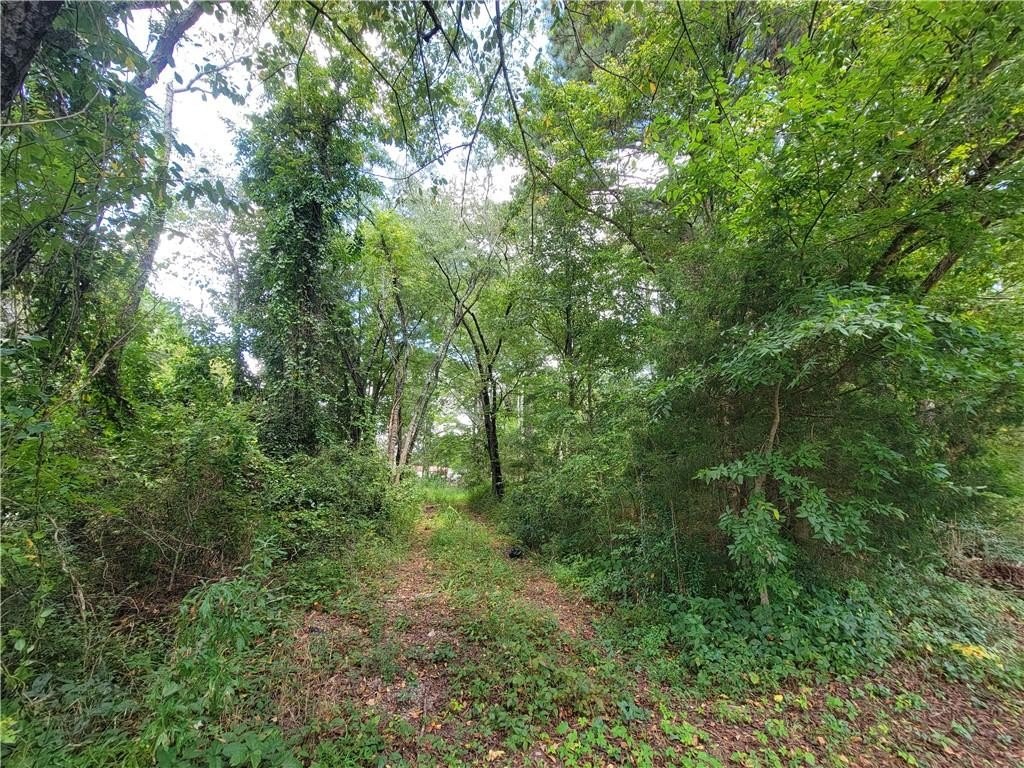 Picture 4